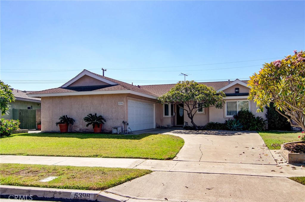5398 Park Avenue