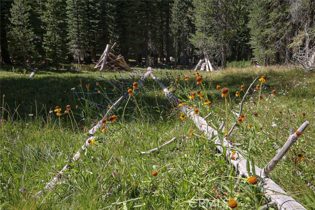 67922 Beasore Road, Bass Lake CA: https://media.crmls.org/medias/79182950-1498-4458-a3b4-bf10790c1389.jpg