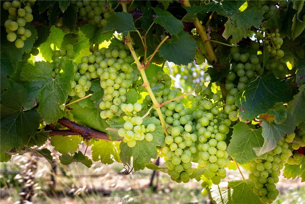 MLS #NS25194884 image #32