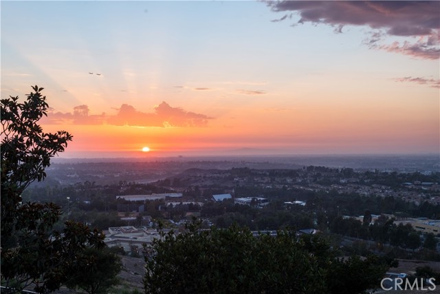 Front Image Thumbnail for CROC25244136