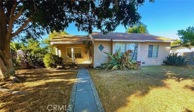 Front Image Thumbnail for CROC25200678