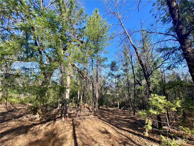 Detail Gallery Image 17 of 21 For 10130 Seigler Springs North, Kelseyville,  CA 95451 - – Beds | – Baths