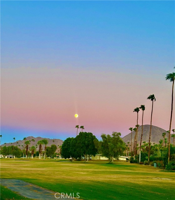 46125 Burroweed Ln., Palm Desert CA: https://media.crmls.org/medias/79241449-5017-4571-a3c2-ac1421f3de60.jpg