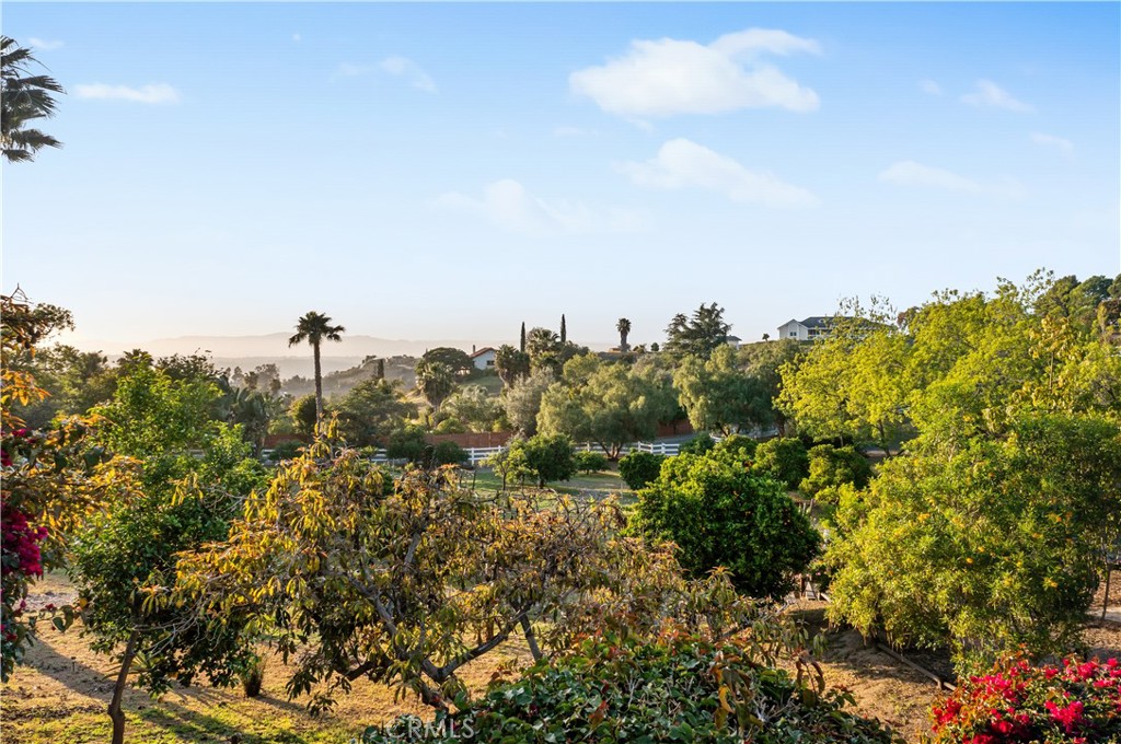 79251376 E6Be 4861 9143 98Acda670Dd6 6731 Via De La Reina, Bonsall, Ca 92003 &Lt;Span Style='BackgroundColor:transparent;Padding:0Px;'&Gt; &Lt;Small&Gt; &Lt;I&Gt; &Lt;/I&Gt; &Lt;/Small&Gt;&Lt;/Span&Gt;