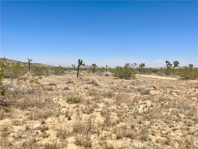 Detail Gallery Image 13 of 19 For 20 Acres, Yucca Valley,  CA 92285 - – Beds | – Baths