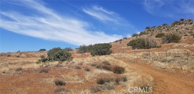 0 Rolandee Street, Acton CA: https://media.crmls.org/medias/792eb47a-f384-4045-9123-e884461c89c1.jpg