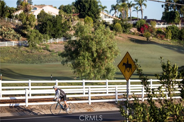 Horse trails, biking trails and hiking trails are all part of the serene lifestyle of Rolling Hills Estates.