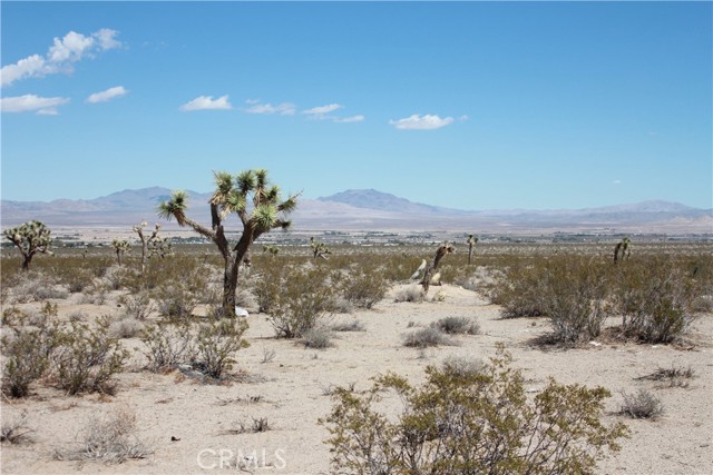 Detail Gallery Image 62 of 71 For 769 Meridian Rd, Lucerne Valley,  CA 92356 - – Beds | – Baths