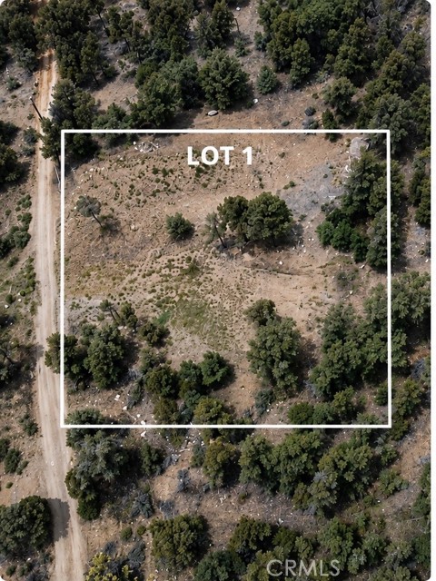 Front Image Thumbnail for CRCV26186611