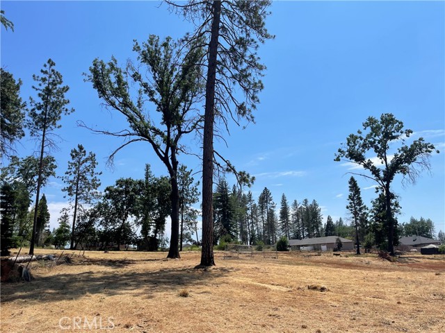 676 Meyers Lane, Paradise, California 95969, ,Land,For Sale,676 Meyers Lane,CRSN23106927