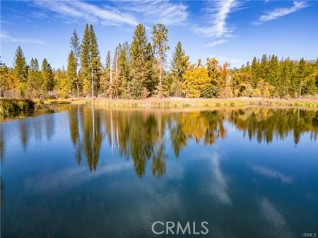 Detail Gallery Image 16 of 54 For 4816 Stumpfield Mountain Rd, Mariposa,  CA 95338 - 2 Beds | 2 Baths