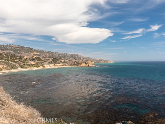 Gorgeous views of Abalone Cove even on an overcast day!