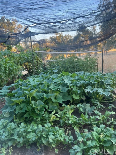 29503 Spence Lane, Tollhouse CA: https://media.crmls.org/medias/796c7ad2-3c6b-4945-ab14-629f0ab15406.jpg