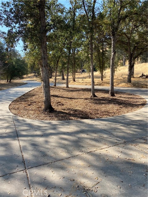 29503 Spence Lane, Tollhouse CA: https://media.crmls.org/medias/796e6b0b-5523-46ed-9ed8-e5f329f062c7.jpg