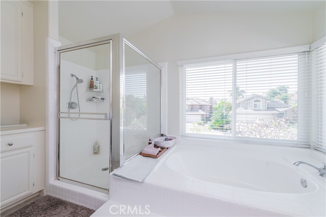 Image 21 of 24 For 28105 Hollyberry Lane