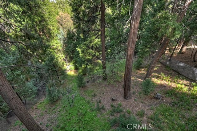 Detail Gallery Image 39 of 42 For 24048 Altdorf, Crestline,  CA 92325 - 3 Beds | 3/1 Baths