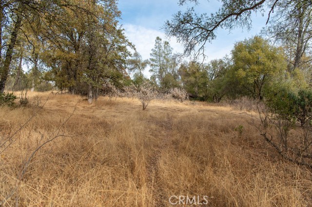 Detail Gallery Image 28 of 51 For 4343 Silver Lane Rd, Mariposa,  CA 95338 - 3 Beds | 2 Baths