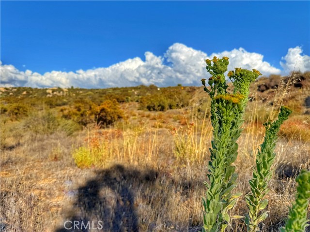 Detail Gallery Image 6 of 26 For 0 Rolling Hills, Aguanga,  CA 92539 - – Beds | – Baths