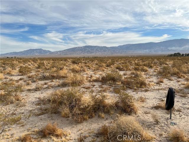 Detail Gallery Image 6 of 8 For 0 Old Woman Springs, Lucerne Valley,  CA 92356 - – Beds | – Baths