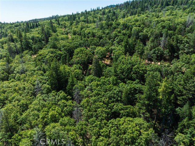 Detail Gallery Image 38 of 42 For 9600 Seigler Springs North Road, Kelseyville,  CA 95451 - – Beds | – Baths