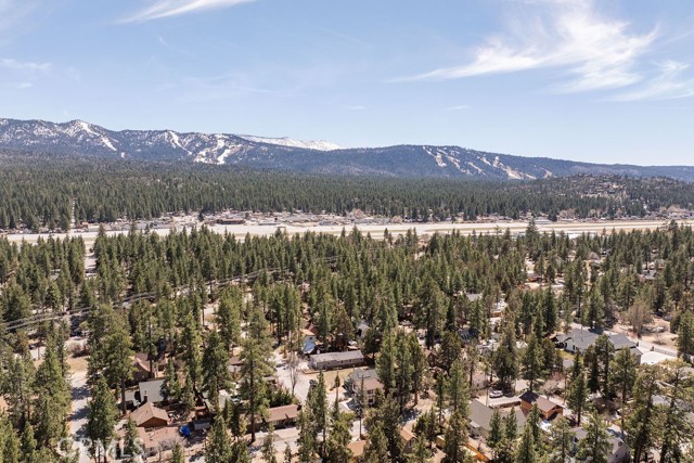 Detail Gallery Image 46 of 51 For 1017 Nana Ave, –,  CA 92314 - 3 Beds | 2 Baths