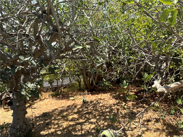 Detail Gallery Image 5 of 6 For 1941 Delta St., Los Angeles,  CA 90026 - – Beds | – Baths