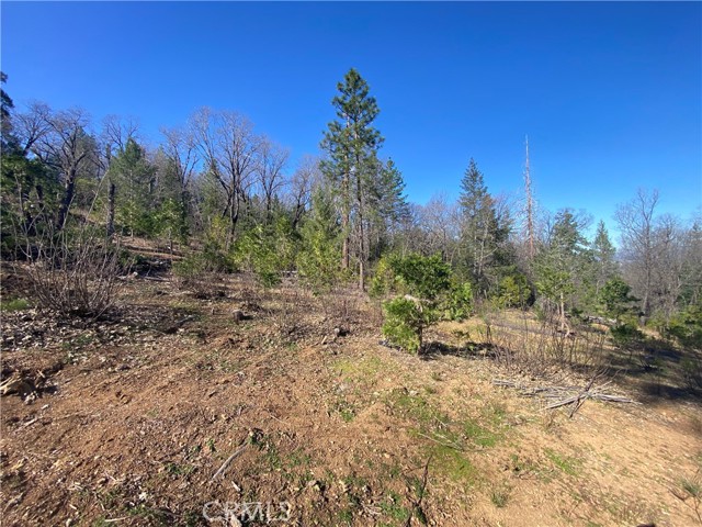 Detail Gallery Image 8 of 21 For 10130 Seigler Springs North, Kelseyville,  CA 95451 - – Beds | – Baths