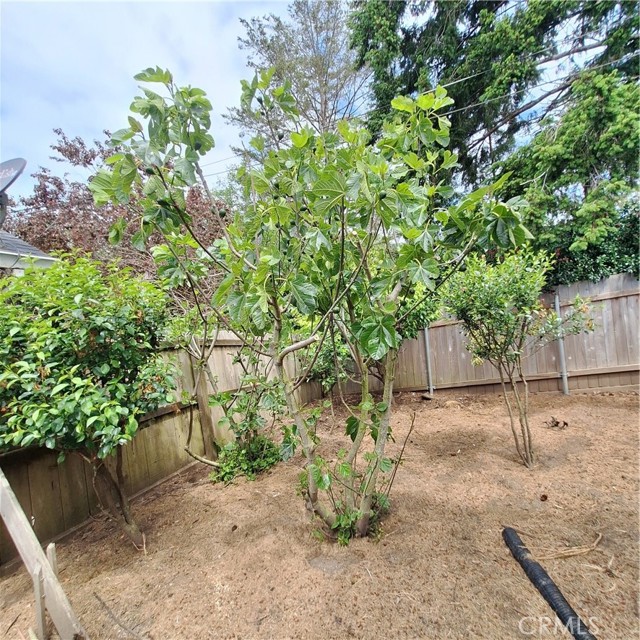Detail Gallery Image 22 of 24 For 3473 Mclean St, Eureka,  CA 95501 - 3 Beds | 2 Baths