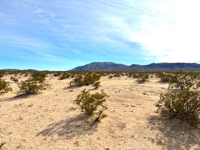 0 Primrose Lane, Twentynine Palms, California 92277, ,Land,For Sale,0 Primrose Lane,CRJT24004290