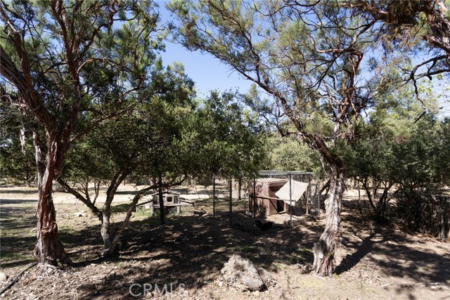 Detail Gallery Image 54 of 73 For 61290 Covered Wagon Trl, Anza,  CA 92539 - 3 Beds | 2 Baths