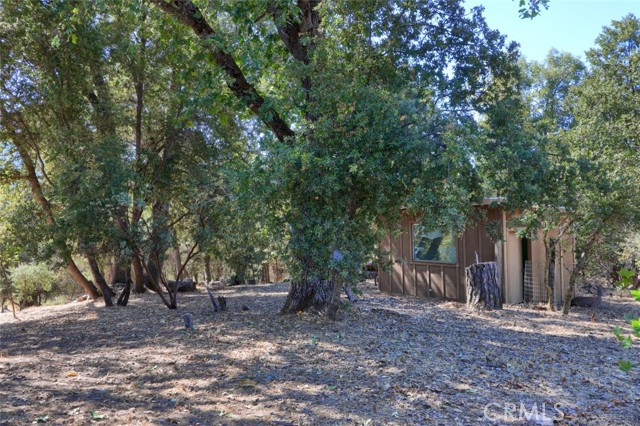 Detail Gallery Image 58 of 64 For 51250 Road 423, Oakhurst,  CA 93644 - 3 Beds | 2 Baths