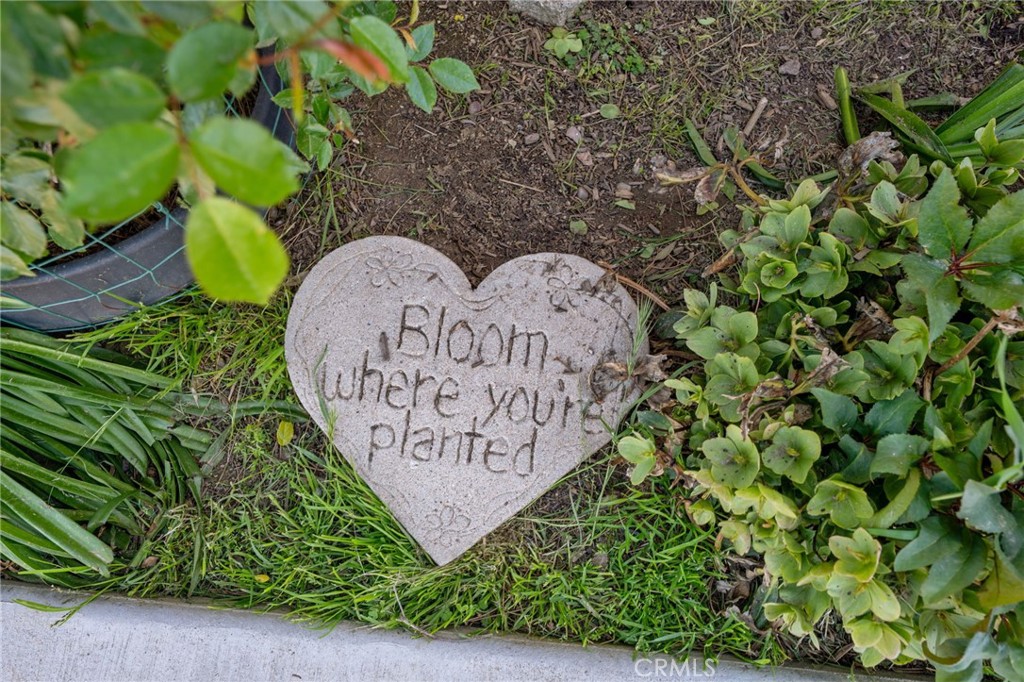 https://media.crmls.org/medias/798cd9f0-ab98-4984-832f-64b33e39a0c8.jpg?preset=X-Large