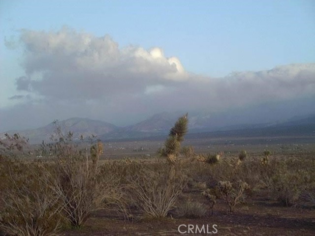 0 Santa Rosa, Lucerne Valley, California 92356, ,Land,For Sale,0 Santa Rosa,CRHD24003899