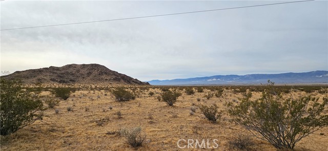 Detail Gallery Image 3 of 8 For 800 Powerline Rd, Lucerne Valley,  CA 92356 - – Beds | – Baths