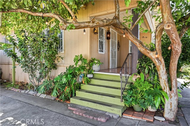 Front Image Thumbnail for CROC26085179