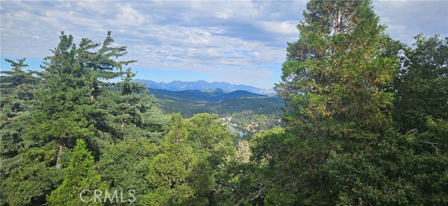 Detail Gallery Image 2 of 21 For 830 Chamois Dr, Crestline,  CA 92325 - 3 Beds | 2/1 Baths