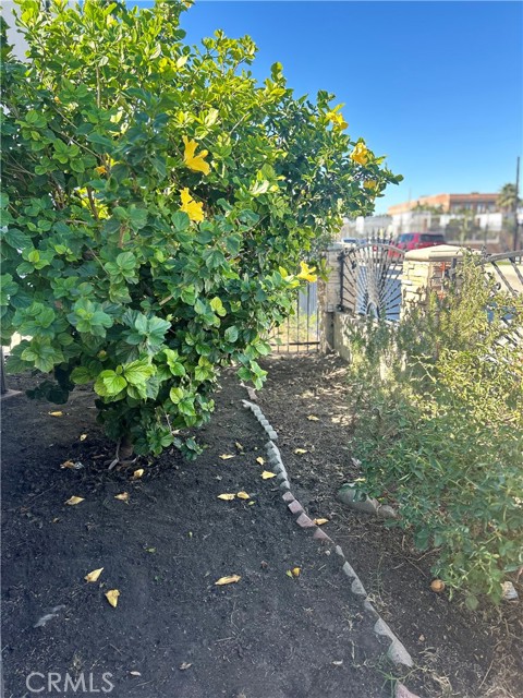 Detail Gallery Image 7 of 44 For 222 W 87th, Los Angeles,  CA 90003 - 3 Beds | 1 Baths