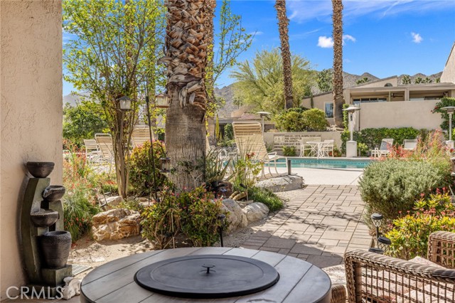 Image 24 of 45 For 73575 Encelia