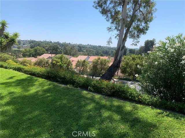 28258 Zarza, Mission Viejo CA: https://media.crmls.org/medias/79a2d51c-299c-4b22-8278-0ce2ede96936.jpg