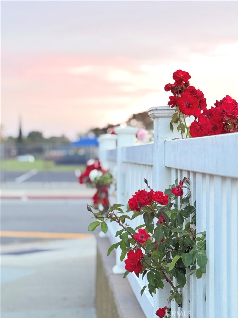 https://media.crmls.org/medias/79a67fde-b86f-4d78-9822-c6dc00ccbce5.jpg?preset=X-Large