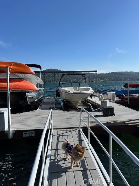 1019 Pintail Circle, Lake Arrowhead CA: https://media.crmls.org/medias/79ac4f29-268e-4d17-8a3c-00c55aced328.jpg