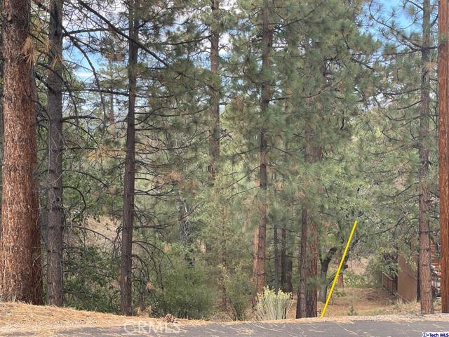 600 Travertine Road, Big Bear City, California 92314, ,Land,For Sale,600 Travertine Road,CRGD24038004