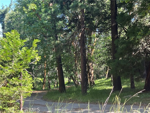 28879 Sycamore Drive, Lake Arrowhead CA: https://media.crmls.org/medias/79bab022-0721-4f5a-bf10-0e418107b70e.jpg