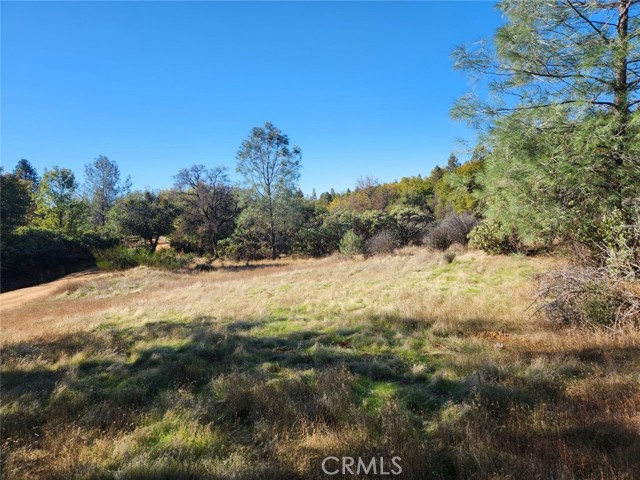 Detail Gallery Image 18 of 32 For 14444 Labadie, Dobbins,  CA 95935 - – Beds | – Baths