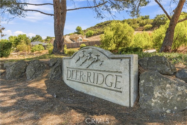 822 Spring Canyon Place photo 68