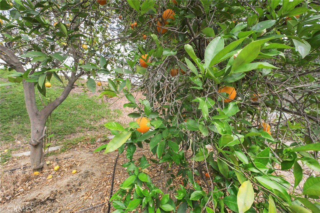 https://media.crmls.org/medias/79ca664f-dcfe-47e6-b3bc-e57e7a1ec69f.jpg?preset=X-Large