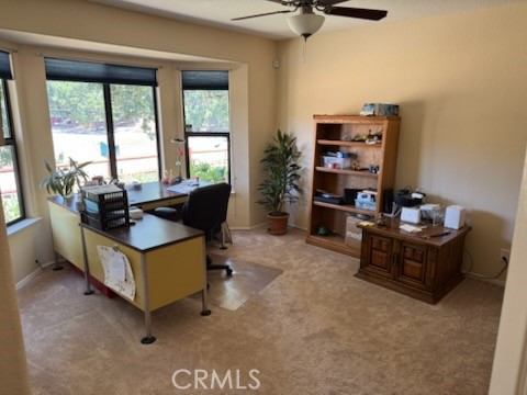 Detail Gallery Image 29 of 58 For 13205 Santa Lucia Rd, Atascadero,  CA 93422 - 3 Beds | 2 Baths