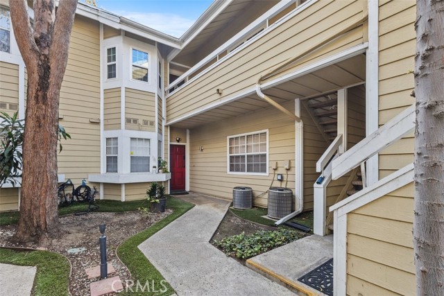 Front Image Thumbnail for CROC25275353