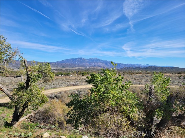 Detail Gallery Image 35 of 46 For 44451 Jay Dr, Anza,  CA 92539 - 3 Beds | 2 Baths