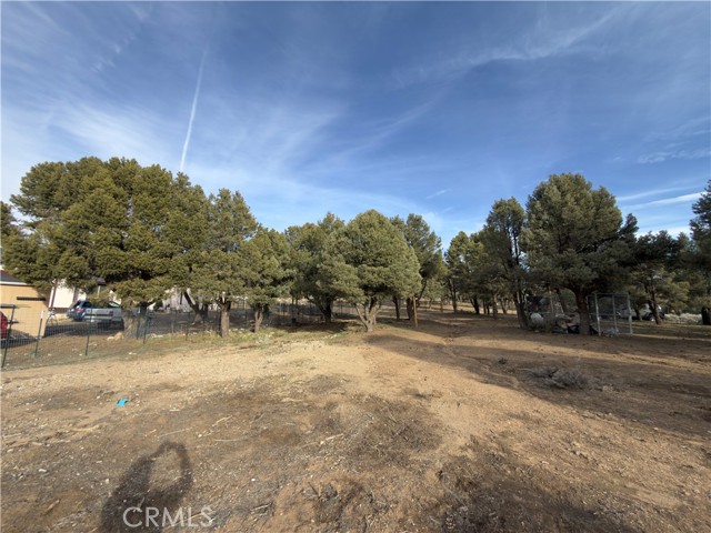 Detail Gallery Image 19 of 31 For 1820 Golden Rod, Big Bear City,  CA 92314 - – Beds | – Baths